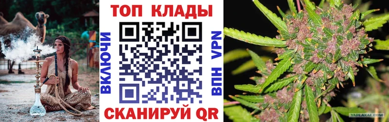 Что такое Кедровый Alpha PVP  мега ссылки  Гашиш  МАРИХУАНА  Меф мяу мяу 